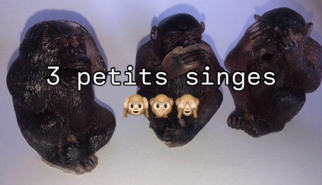 Petits singes